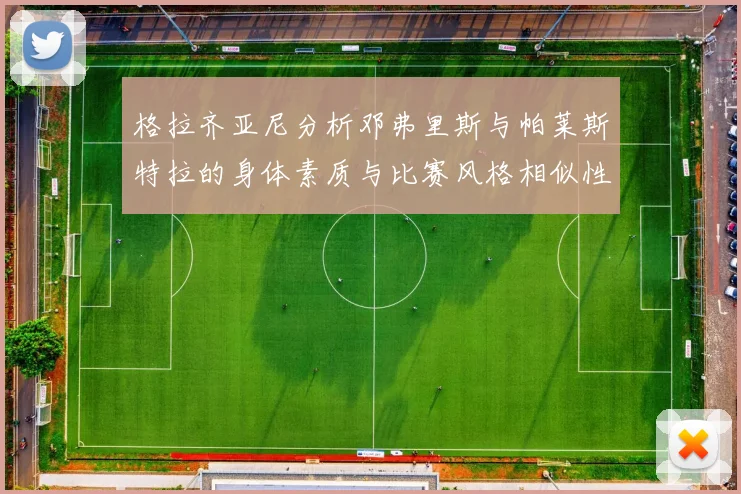 格拉齐亚尼分析邓弗里斯与帕莱斯特拉的身体素质与比赛风格相似性