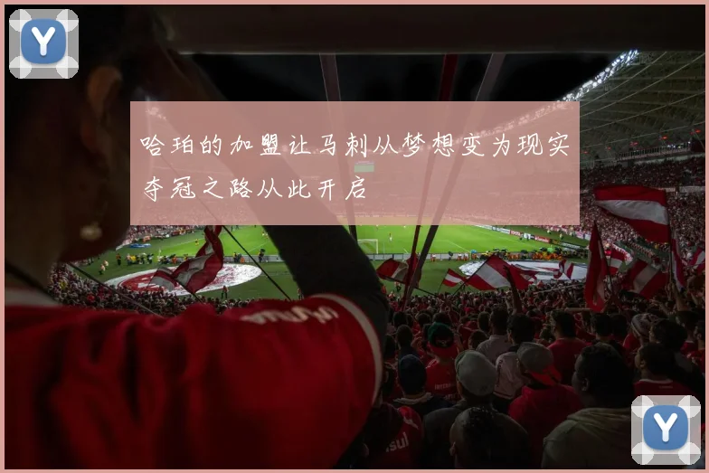 哈珀的加盟让马刺从梦想变为现实夺冠之路从此开启